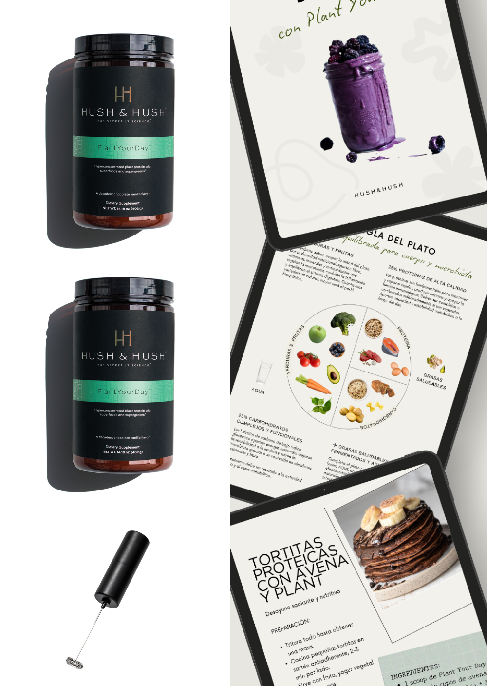 Pack Plan Detox – Vuelta a la rutina